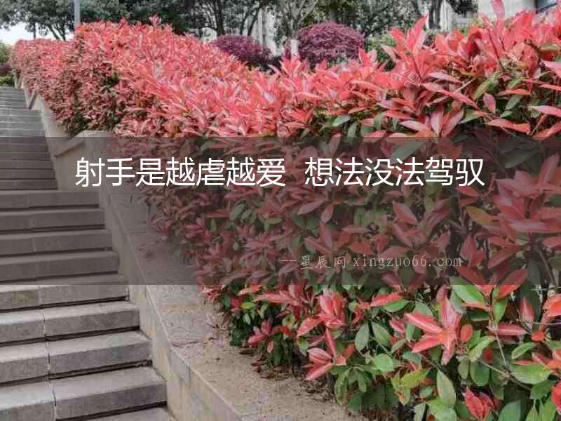 射手是越虐越愛(ài)  想法沒(méi)法駕馭