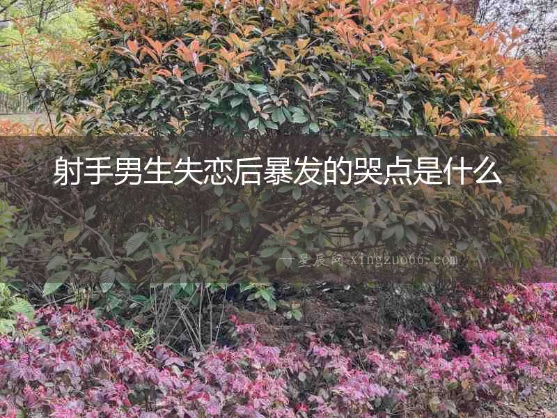 射手男生失戀后暴發的哭點是什么