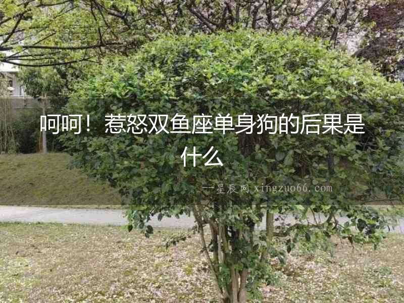 呵呵！惹怒雙魚座單身狗的后果是什么