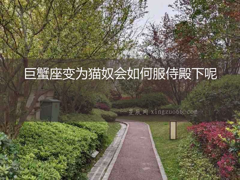 巨蟹座變?yōu)樨埮珪?huì)如何服侍殿下呢