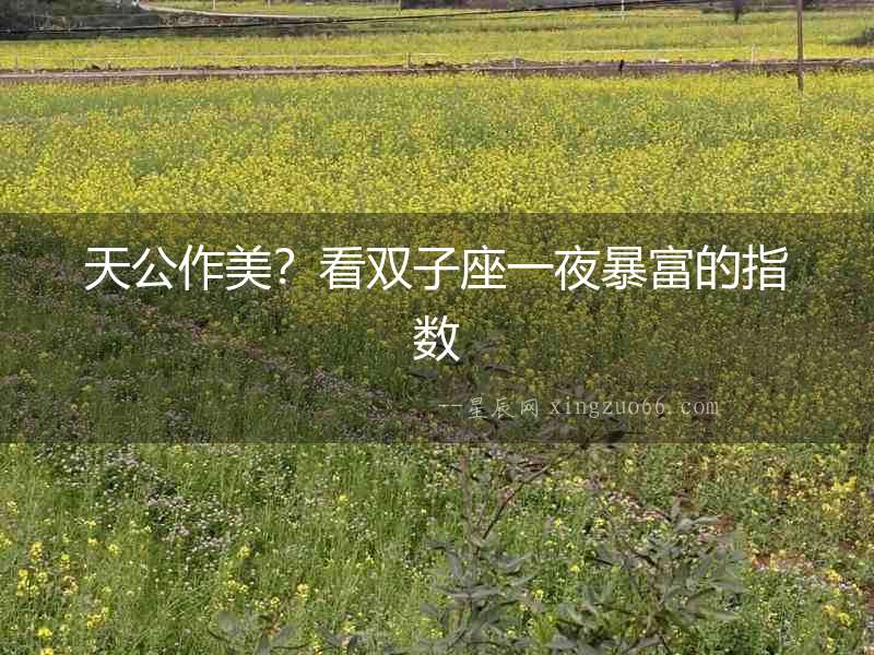 天公作美？看雙子座一夜暴富的指數