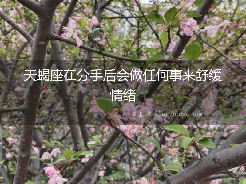 天蝎座在分手后會(huì)做任何事來(lái)舒緩情緒