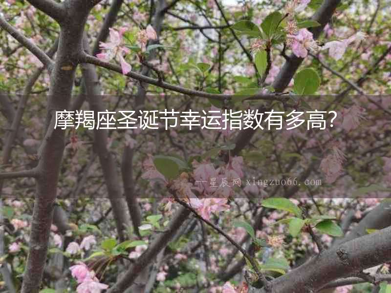 摩羯座圣誕節幸運指數有多高？