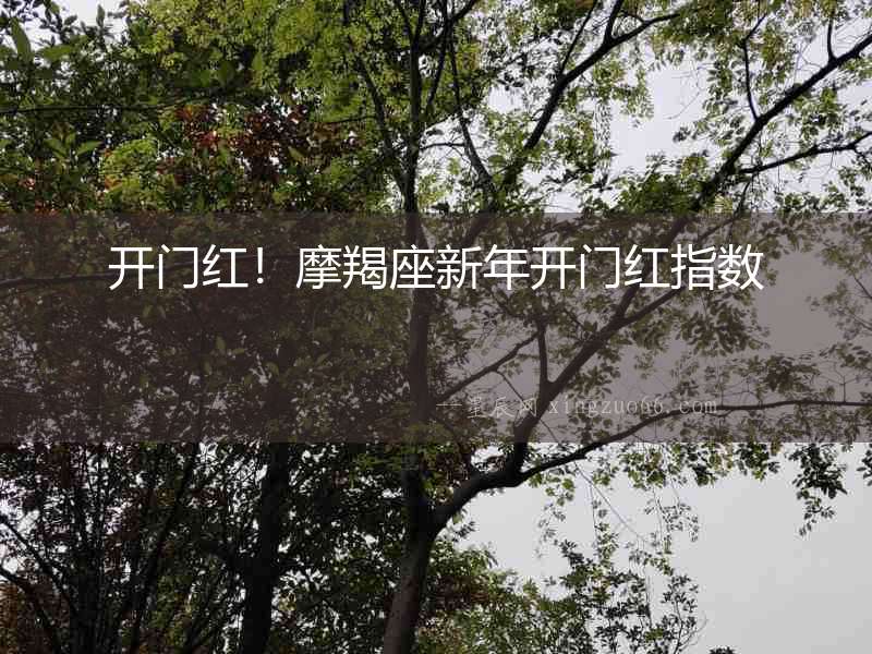 開門紅！摩羯座新年開門紅指數