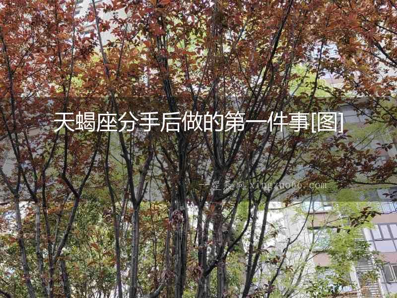 天蝎座分手后做的第一件事[圖]