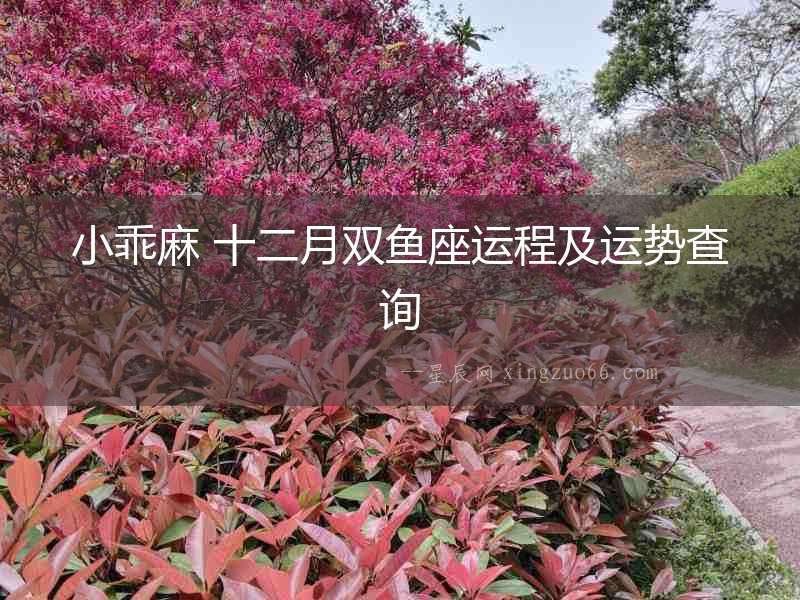 小乖麻 十二月雙魚座運程及運勢查詢