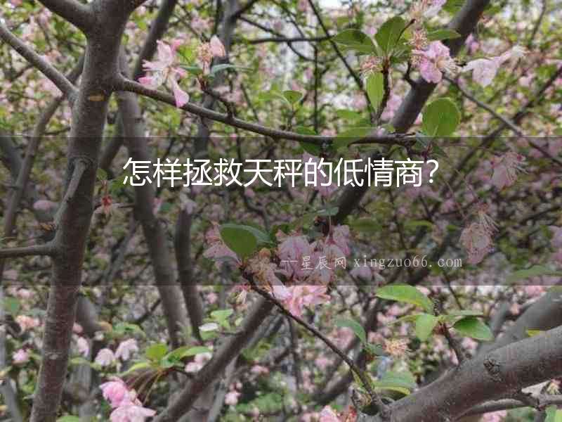 怎樣拯救天秤的低情商？