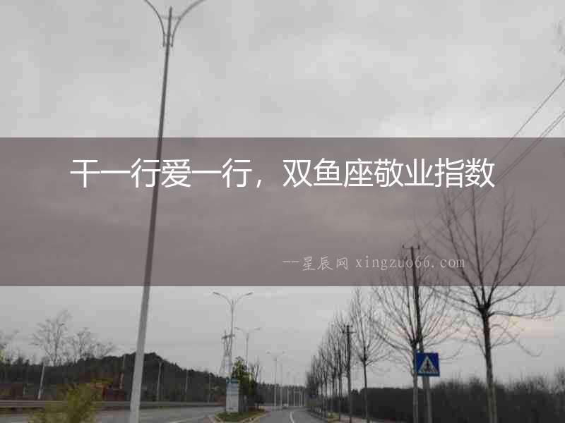 干一行愛一行，雙魚座敬業(yè)指數(shù)