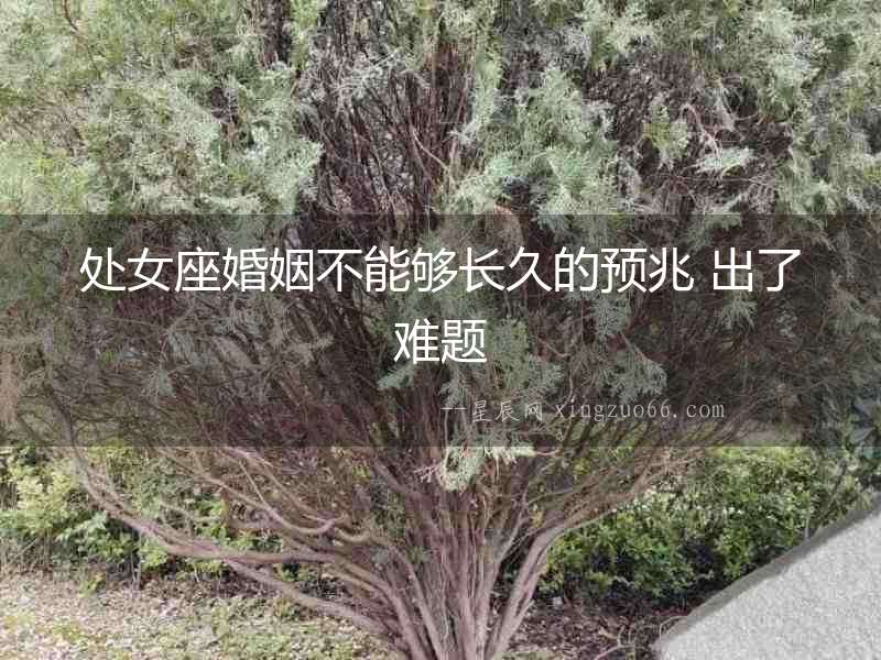 處女座婚姻不能夠長久的預兆 出了難題