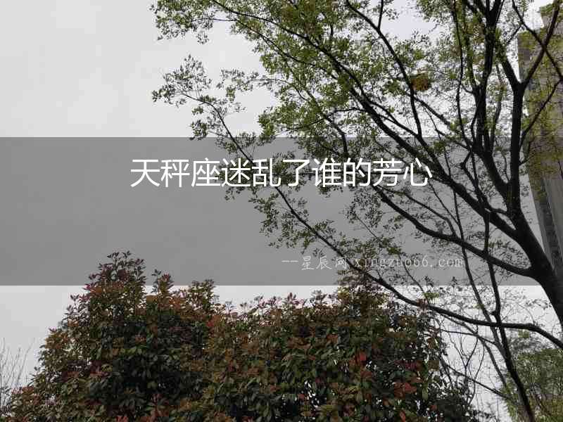 天秤座迷亂了誰的芳心