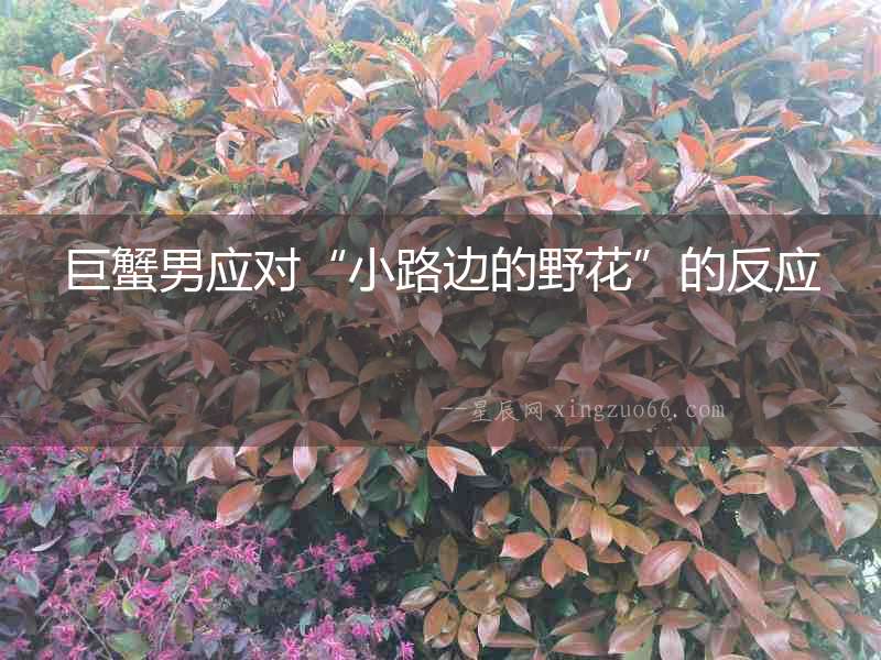 巨蟹男應(yīng)對(duì)“小路邊的野花”的反應(yīng)