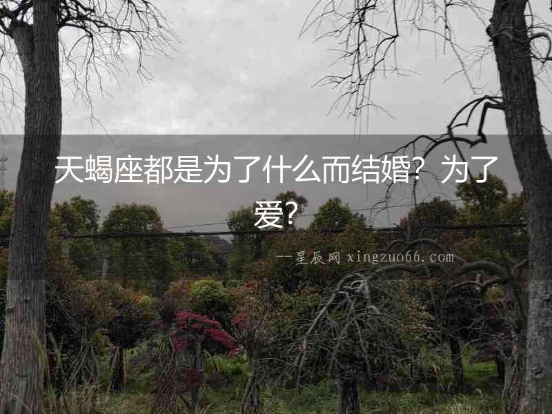 天蝎座都是為了什么而結婚？為了愛？
