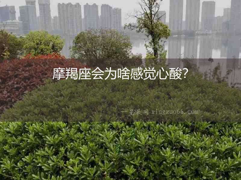摩羯座會為啥感覺心酸？
