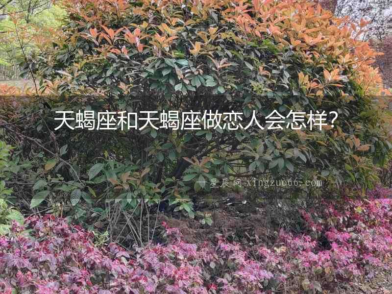 天蝎座和天蝎座做戀人會怎樣？