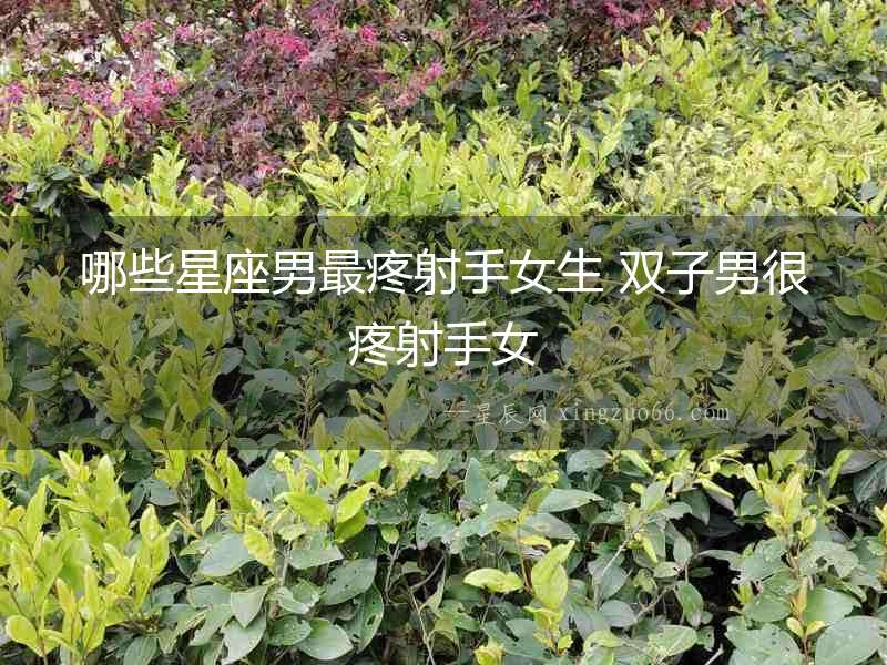 哪些星座男最疼射手女生 雙子男很疼射手女