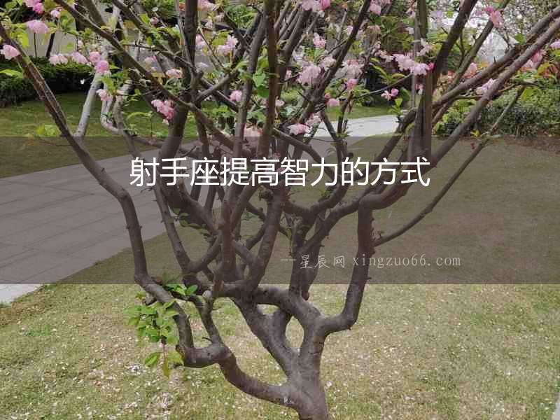 射手座提高智力的方式