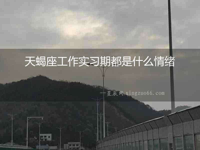 天蝎座工作實習期都是什么情緒
