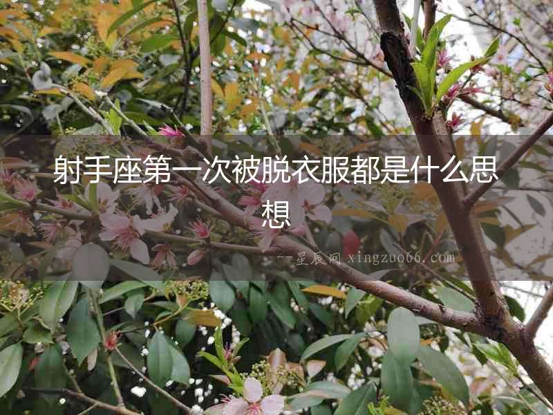 射手座第一次被脫衣服都是什么思想