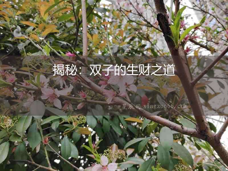 揭秘：雙子的生財之道