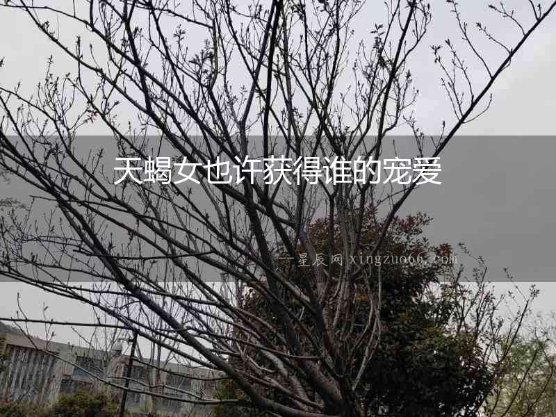 天蝎女也許獲得誰(shuí)的寵愛