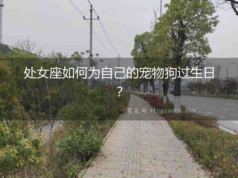 處女座如何為自己的寵物狗過生日？