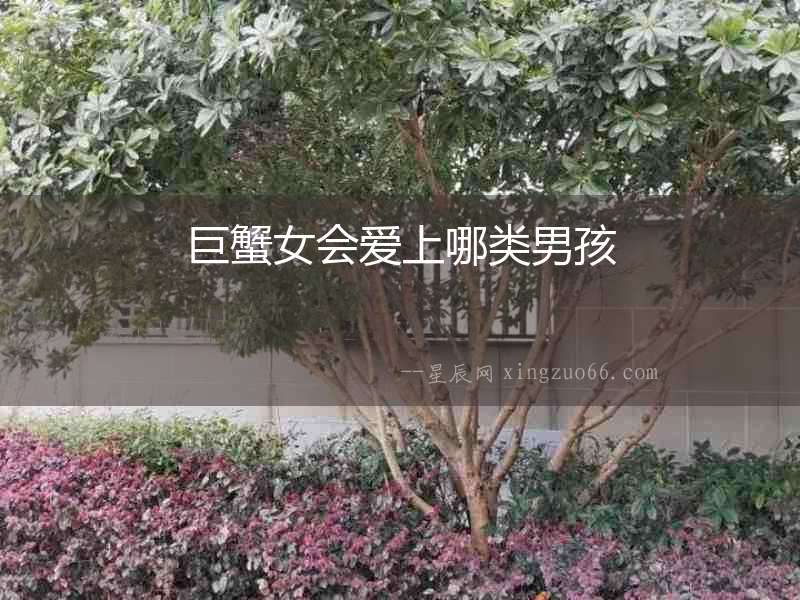 巨蟹女會(huì)愛(ài)上哪類男孩
