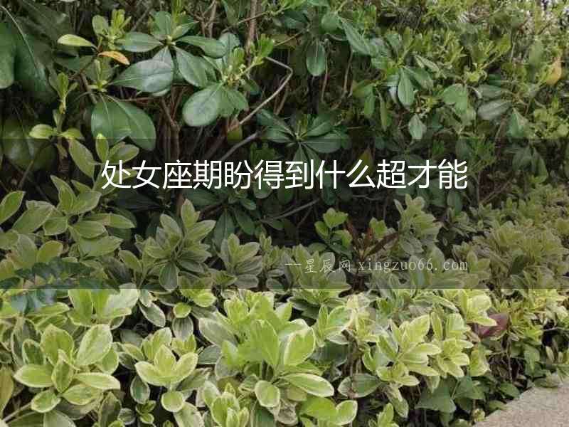 處女座期盼得到什么超才能