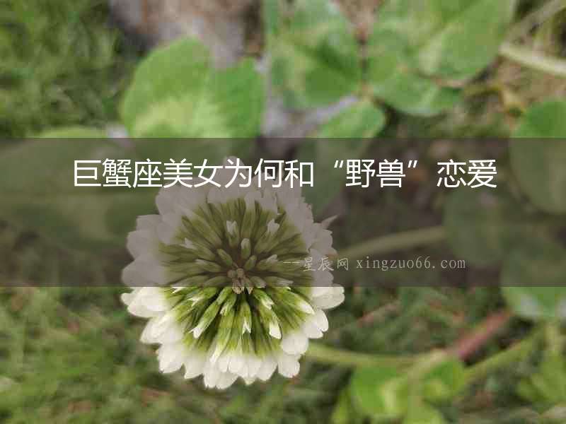 巨蟹座美女為何和“野獸”戀愛