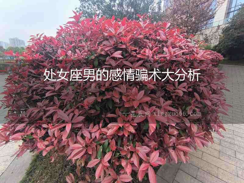 處女座男的感情騙術大分析