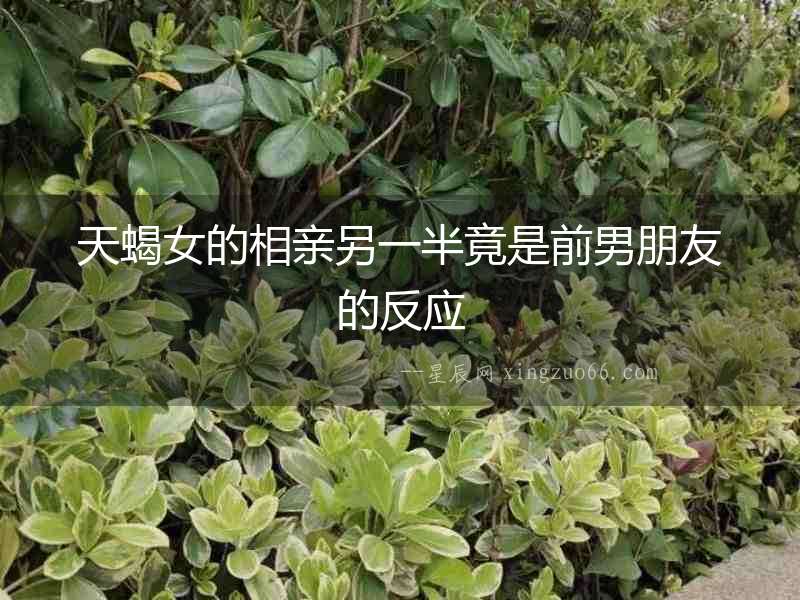 天蝎女的相親另一半竟是前男朋友的反應(yīng)