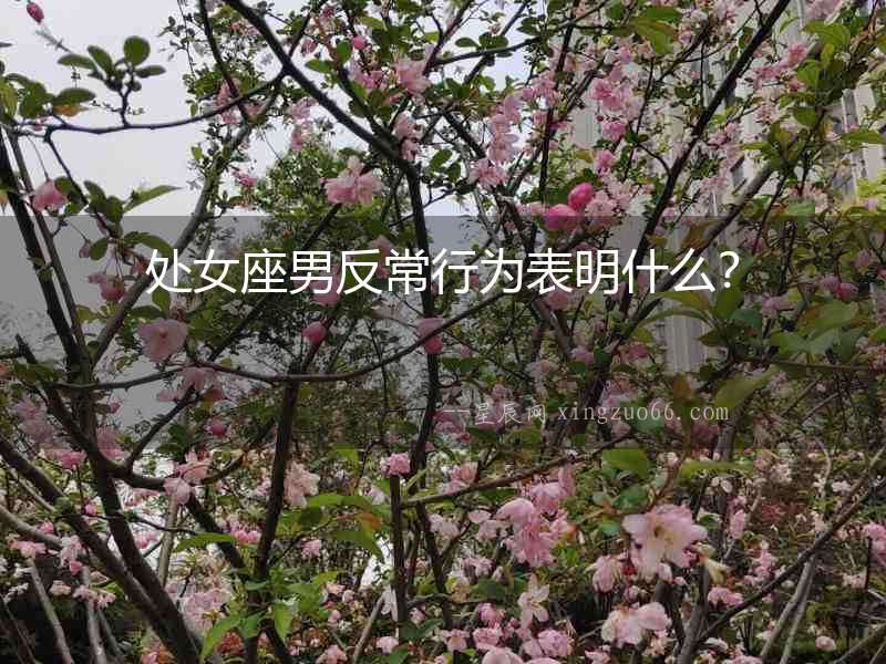 處女座男反常行為表明什么？