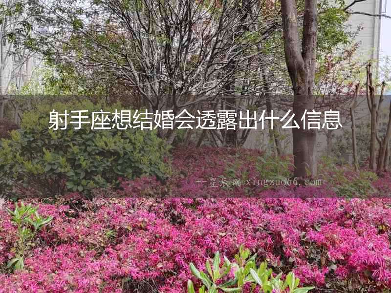 射手座想結婚會透露出什么信息