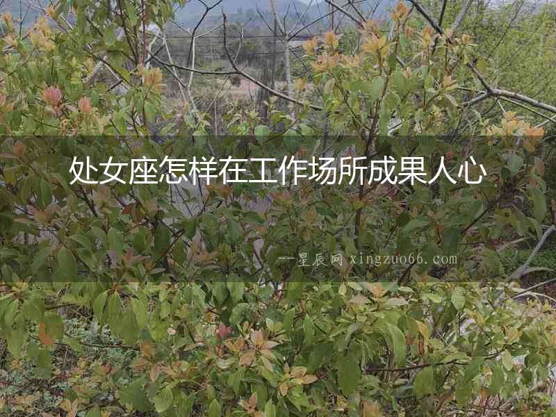 處女座怎樣在工作場所成果人心