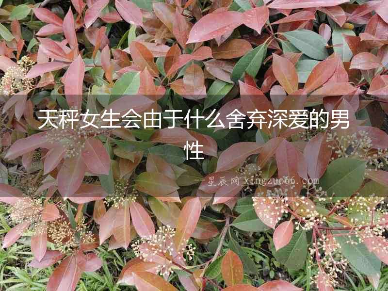 天秤女生會由于什么舍棄深愛的男性