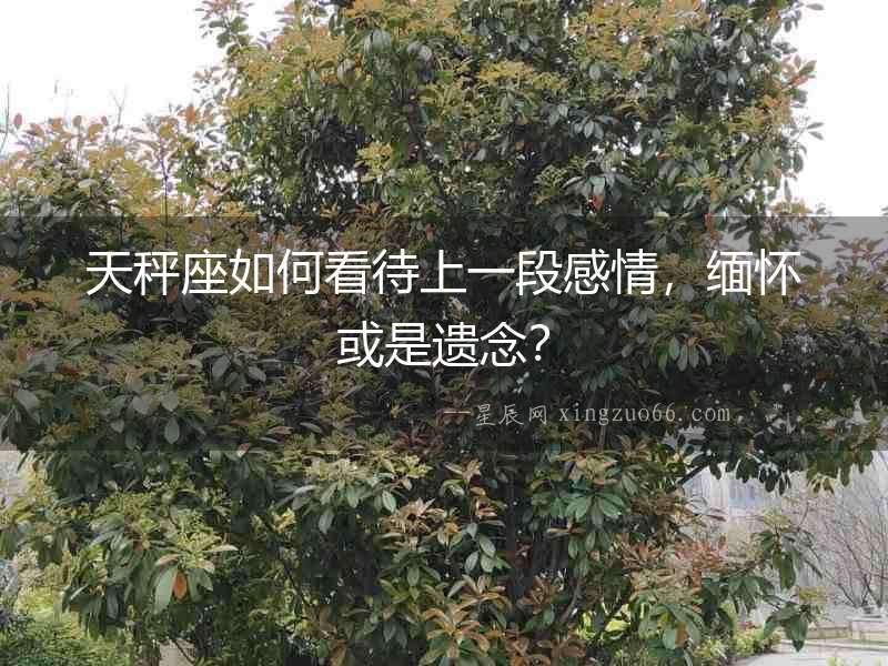 天秤座如何看待上一段感情，緬懷或是遺念？