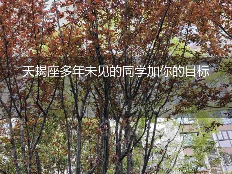 天蝎座多年未見的同學加你的目標