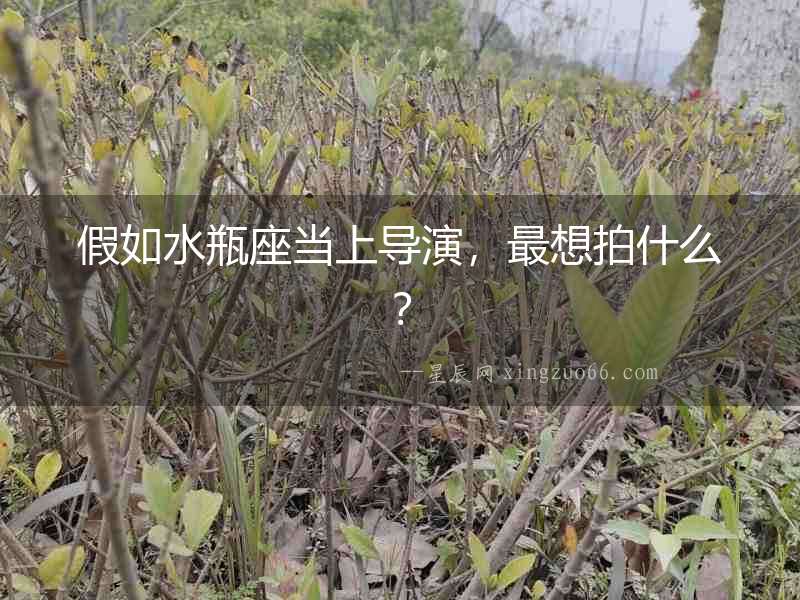 假如水瓶座當上導演，最想拍什么？