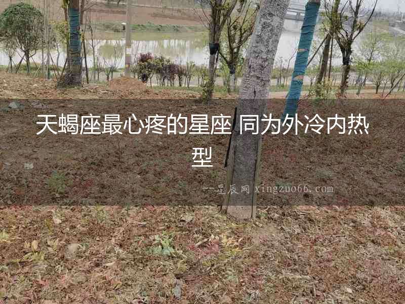 天蝎座最心疼的星座 同為外冷內熱型