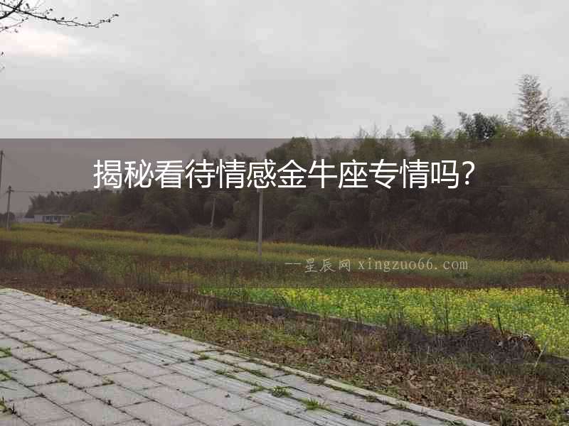 揭秘看待情感金牛座專情嗎？