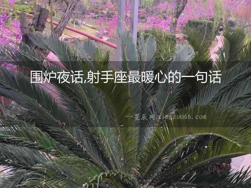 圍爐夜話,射手座最暖心的一句話