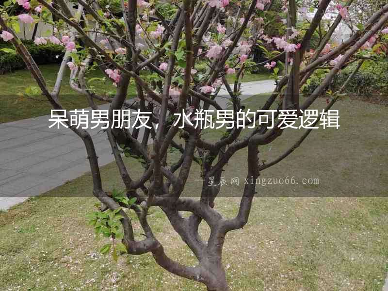 呆萌男朋友，水瓶男的可愛(ài)邏輯