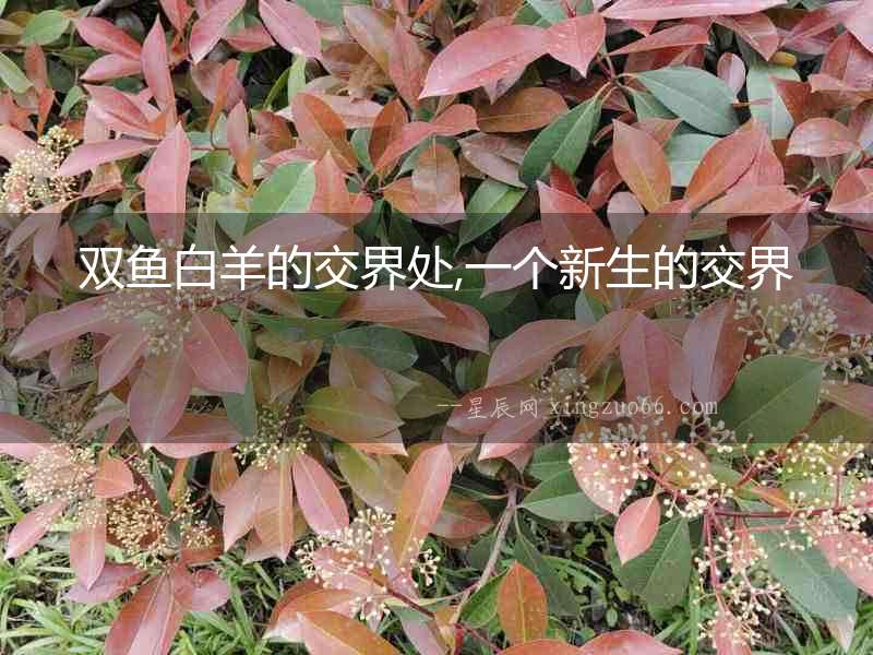 雙魚白羊的交界處,一個新生的交界