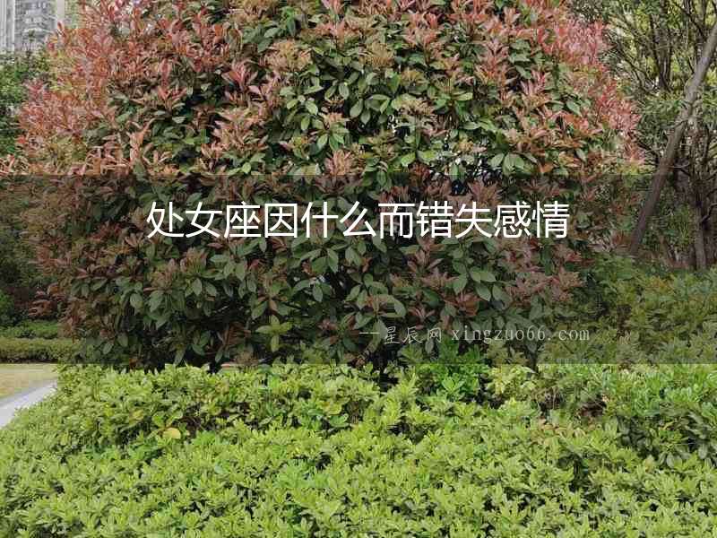 處女座因什么而錯失感情