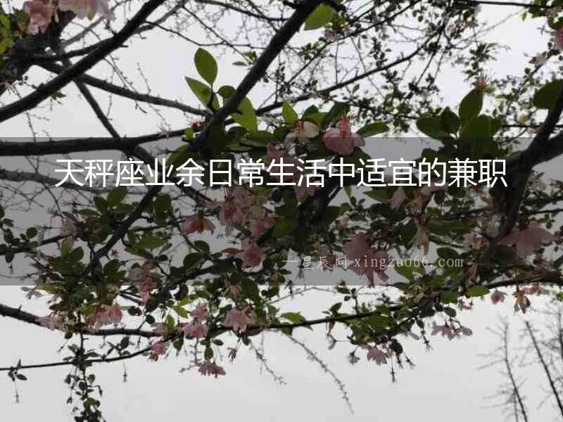 天秤座業余日常生活中適宜的兼職
