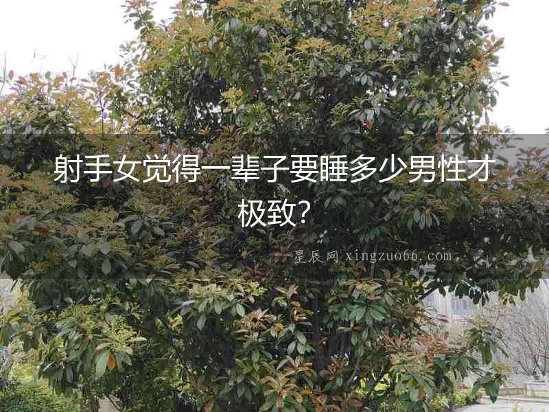 射手女覺得一輩子要睡多少男性才極致？