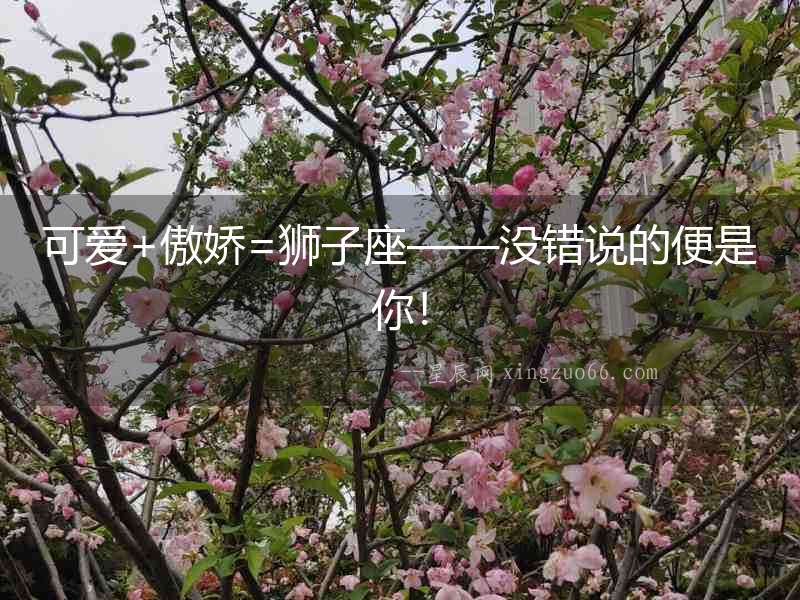 可愛+傲嬌=獅子座——沒錯說的便是你！