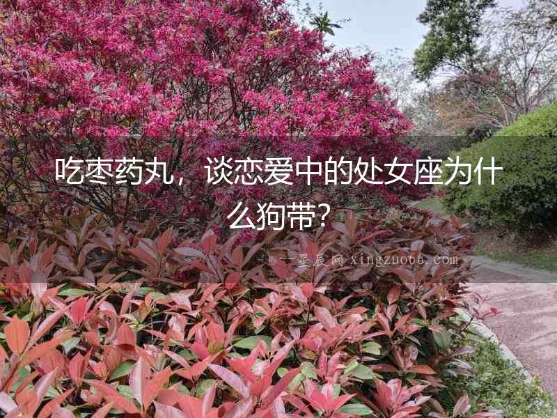 吃棗藥丸，談戀愛中的處女座為什么狗帶？
