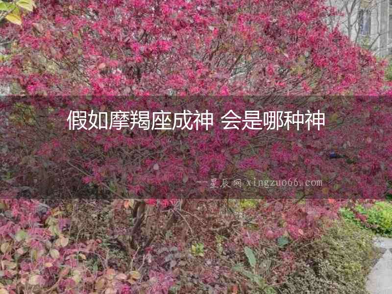 假如摩羯座成神 會是哪種神