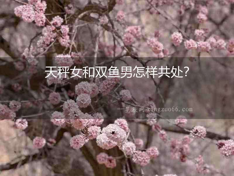 天秤女和雙魚男怎樣共處？