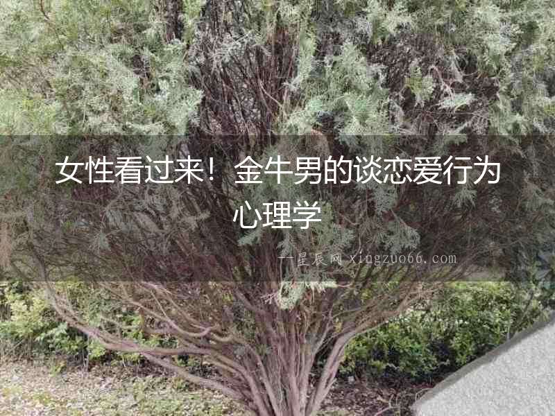 女性看過來！金牛男的談戀愛行為心理學